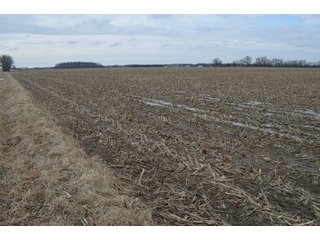 Property photo 28 - 173 +/- Acres Offered in 3 Tracts - Ohio Farmland